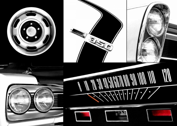 Picture of MUSCLE
