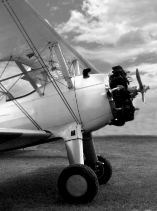 Picture of AERIAL MOMENT 1