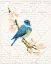 Picture of SONG BIRD AND TRELLIS