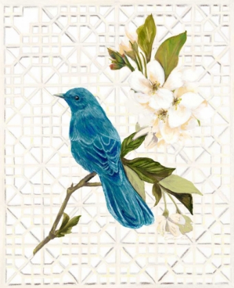 Picture of TRELLIS SONG