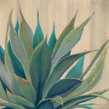Picture of WILD AGAVE 1