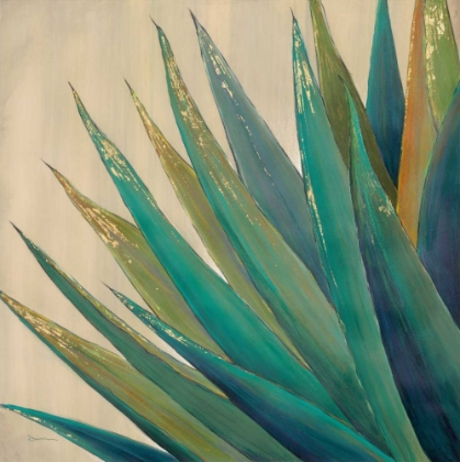 Picture of WILD AGAVE 2