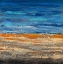 Picture of DESERT POPPIES