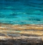 Picture of DESERT TROPICS