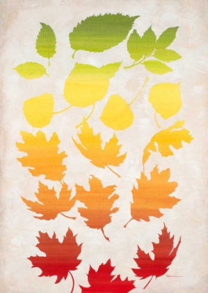 Picture of RAINBOW OF LEAVES