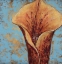 Picture of CONTEMPORARY FLORAL 2