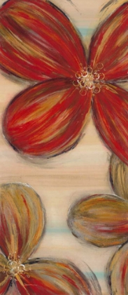 Picture of SCARLET GLORY 1