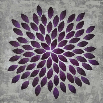Picture of PLUM STAR BURST 1