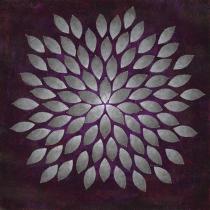 Picture of PLUM STAR BURST 2