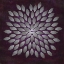 Picture of PLUM STAR BURST 2