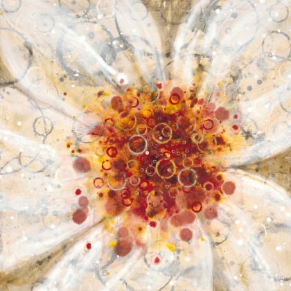 Picture of WATER POPPY 1