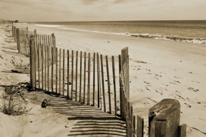 Picture of BEACH WALK 2