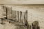 Picture of BEACH WALK 2