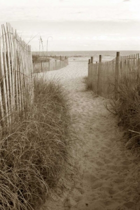 Picture of BEACH TRAIL 1 