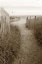 Picture of BEACH TRAIL 1 