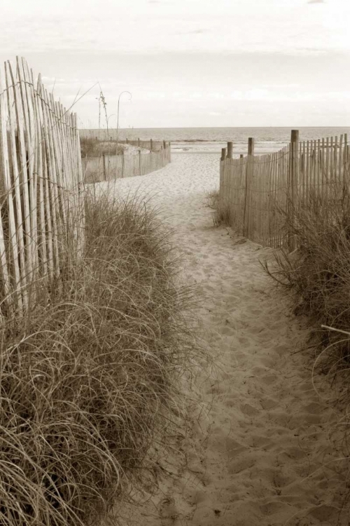Picture of BEACH TRAIL 1 