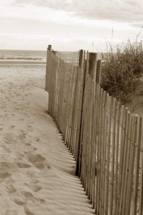 Picture of BEACH TRAIL 2