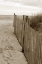 Picture of BEACH TRAIL 2