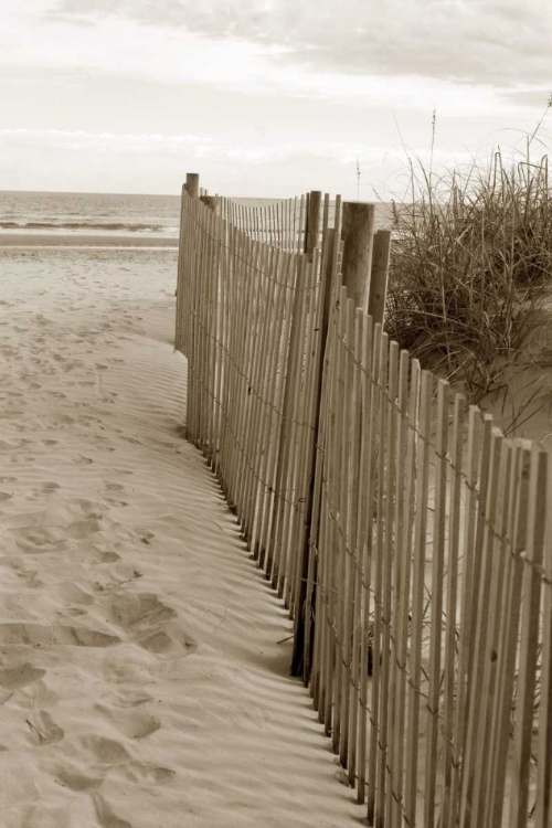 Picture of BEACH TRAIL 2