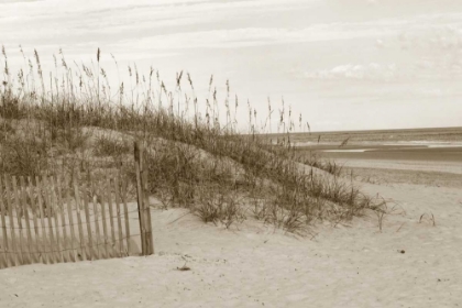 Picture of IN THE DUNES 1 