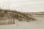Picture of IN THE DUNES 1 
