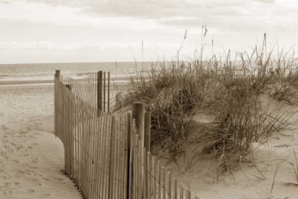 Picture of IN THE DUNES 2