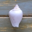 Picture of WHITE SHELL 