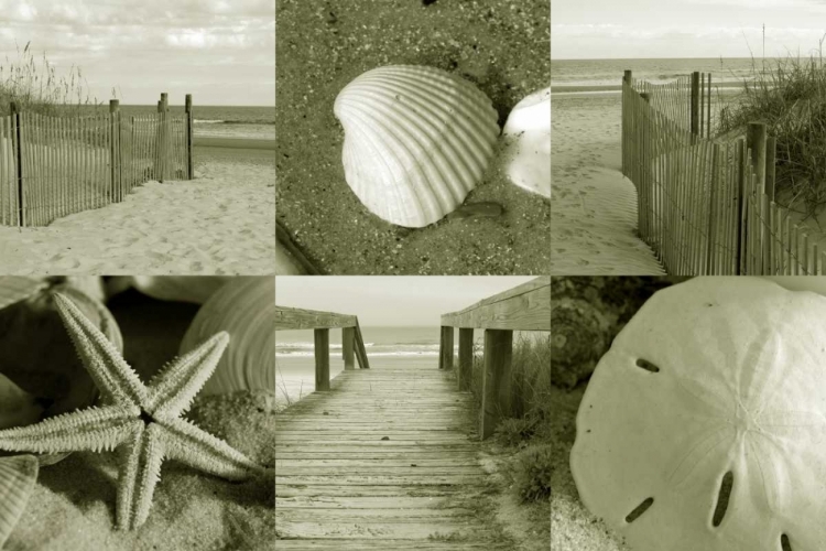 Picture of SEASIDE STORY 2