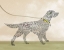 Picture of SETTER PORTRAIT