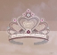 Picture of PRETTY TIARA 