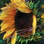 Picture of SUNFLOWER IN MOTION