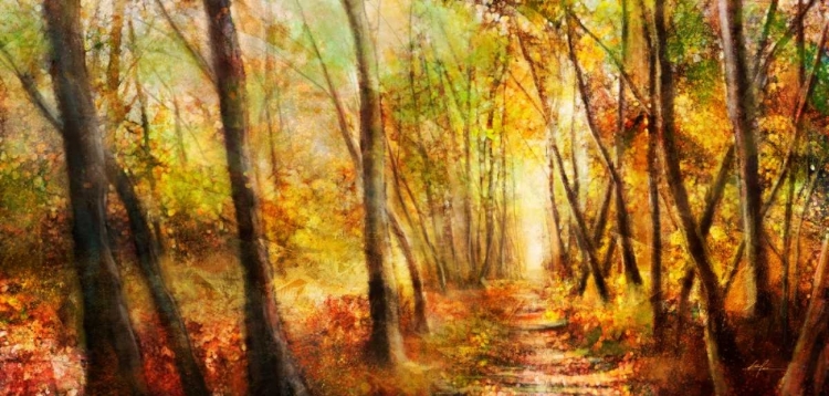 Picture of FOREST PATHWAY