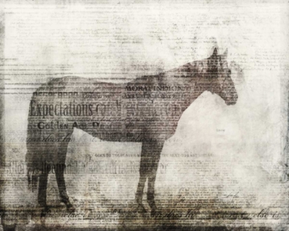 Picture of EXPECTATIONS