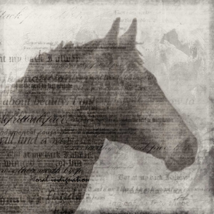 Picture of EQUESTRIAN STORY 1 