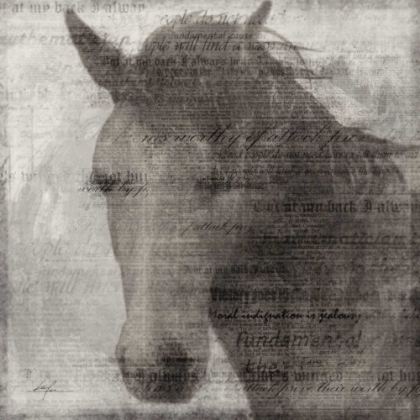 Picture of EQUESTRIAN STORY 2