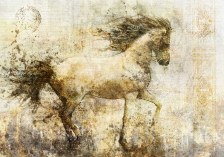 Picture of IN STRIDE 1