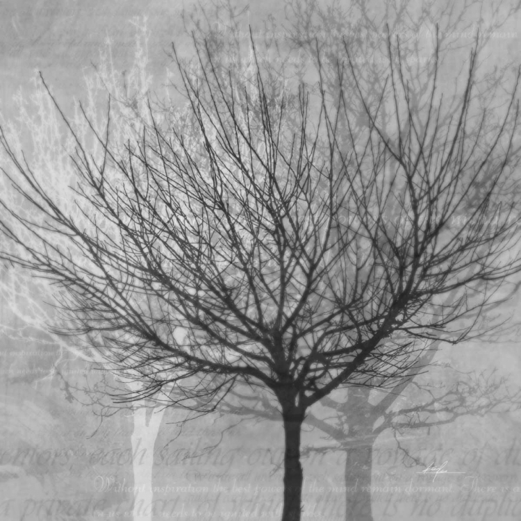 Picture of WINTER SILHOUETTE 1