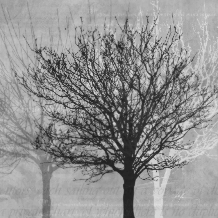 Picture of WINTER SILHOUETTE 2