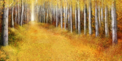 Picture of YELLOW PATH 2