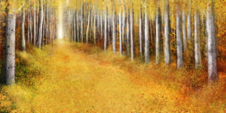 Picture of YELLOW PATH 2