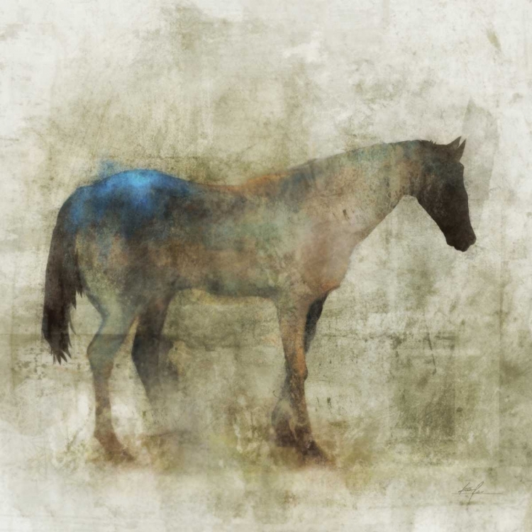 Picture of LONE STAR 1