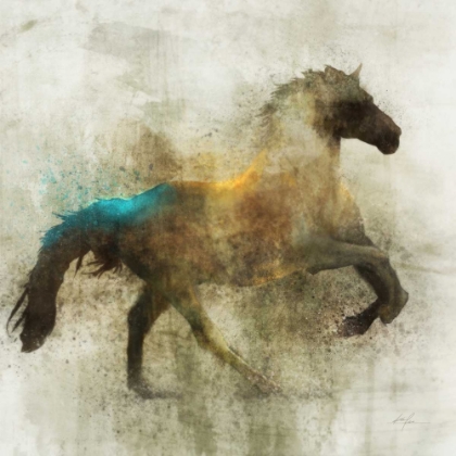 Picture of LONE STAR 3