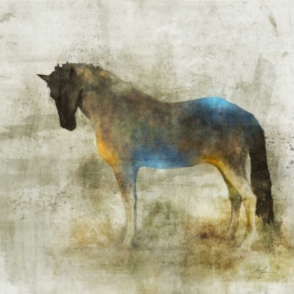 Picture of LONE STAR 4