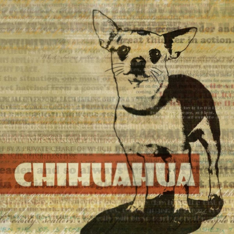 Picture of CHIHUAHUA SKETCH 