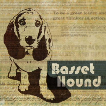 Picture of BASSETT HOUND SKETCH 