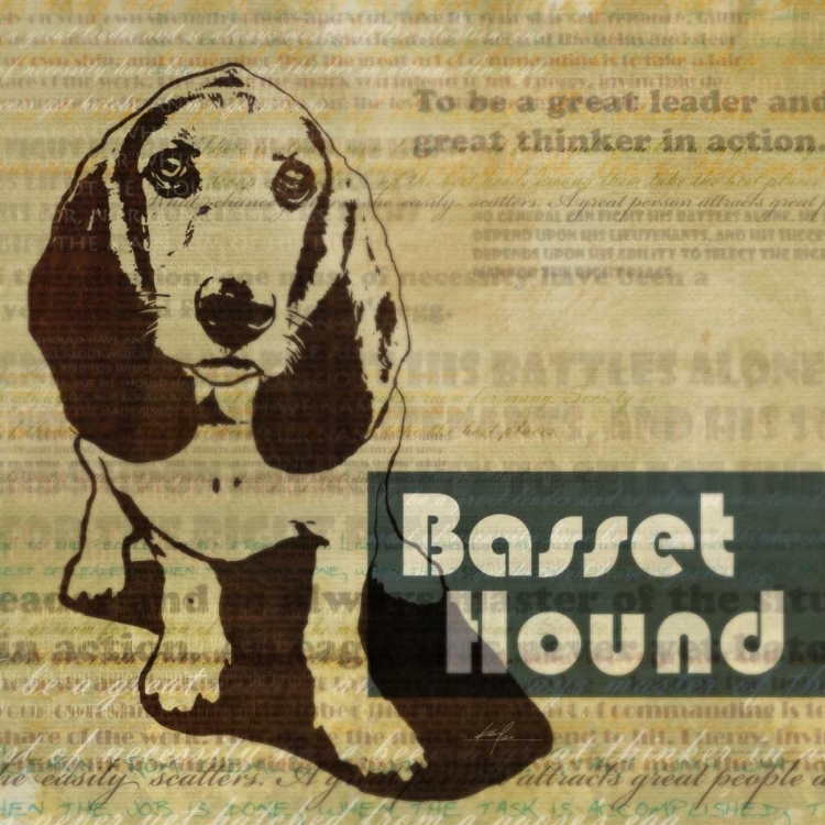 Picture of BASSETT HOUND SKETCH 