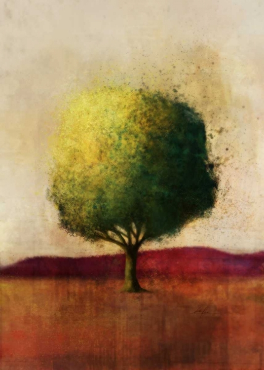 Picture of COLORFUL HORIZON 1