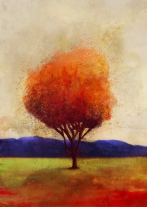 Picture of COLORFUL HORIZON 2