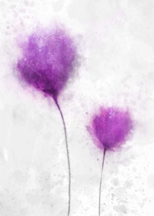 Picture of ETERNAL SPRING 1