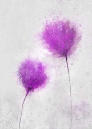 Picture of ETERNAL SPRING 2